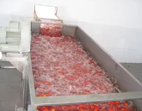Machine de traitement de la pâte de tomate de bonne qualité Machine de mise en conserve de pâte de tomate Machine de production de pâte de tomate Prix