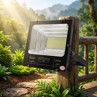 Projecteur solaire extérieur de qualité supérieure 200W, étanche, LED haute efficacité, en alliage de fer, prix de gros direct usine