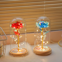 Lampu LED String dengan Kubah Kaca Mawar Berlapis Emas Buatan Tangan, Bunga Abadi dengan Kemasan Kotak Hadiah, Hadiah Romantis untuk Hari Valentine