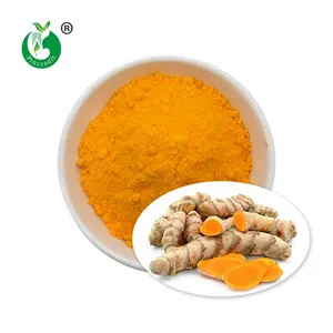 Extrato de curcumina orgânico solúvel em água 10%, extrato de raiz turmeric em pó 10 1