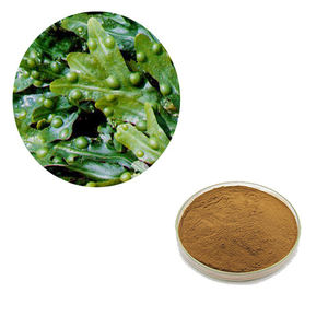 홍다 하이 퀄리티 푸코이단 푸코산틴 90% 분말 무료 샘플 인증 천연 방광 추출물 - Product Image 1