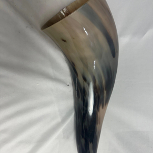 แก้วเบียร์วายไวกิ้งขนาด 12 นิ้ว รุ่นรักษ์โลก สไตล์รัก ทำด้วยมือจากเขาควายแท้ เกรดอาหาร พร้อมผิวเงางามเป็นธรรมชาติ - Product Image 1