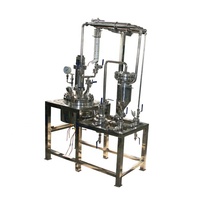 Réacteur d'hydrolyse chimique Borui 60L SS316 S304 avec agitateur à ancre
