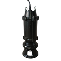 Pompes submersibles d'eau sale de déchets de mine de fosse sèche résistante d'égout de vidange de vidange de pompe d'égout