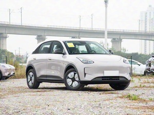 Modello 2026 310km Edizione Giovani <span class=keywords><strong>Auto</strong></span> Elettrica Compatta Urbana a Nuova Energia Conveniente - Product Image 2