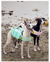 Produits pour animaux de compagnie tendance 2026, gilet de sauvetage pour chien à haute flottabilité, gilet de sécurité réfléchissant pour animaux de compagnie avec poignée de sauvetage pour les grands chiens