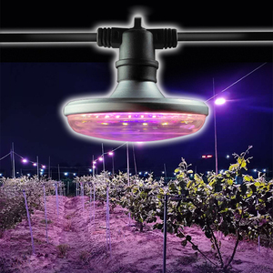 Impermeable E27 <span class=keywords><strong>LED</strong></span> Grow Light String UFO <span class=keywords><strong>Bombilla</strong></span> Exterior Crecimiento de <span class=keywords><strong>plantas</strong></span> Espectro Luz de inundación para el cultivo de frutas y <span class=keywords><strong>plantas</strong></span> - Product Image 5