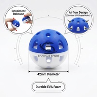 Pelotas de Golf de Entrenamiento de Alto Rendimiento con Flujo de Aire, Pelotas de Práctica Profesionales de PP Suave, Servicio OEM Personalizado, 42.6mm de Diámetro