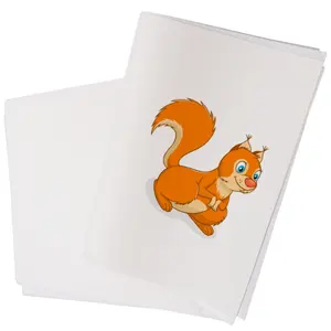 China Factory Supplier A4 8.27" x 11.7" DTF Transfer Film A3/A2 DTF Sheets Hot Peel Double Sided 100 Sheets A2 DTF Film