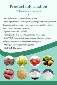 28 ימים כל-טבעי simming צמחים טבעיים למבוגרים עבור גמילה שטוחים בטן מהירה לשרוף שומן הפסד במשקל - Product Image 6