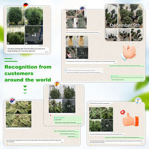 <span class=keywords><strong>2026</strong></span> 320W/480W/720W IP65 Volspectrum LED Plantengroei Lamp met instelbare spectrale opties voor alle groeifasen - Product Image 2