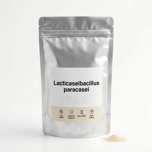 Poudre Probiotique Lactobacillus paracasei Direct Usine 600 Milliards UFC/g Ingrédient en Vrac Haute Puissance - Product Image 1
