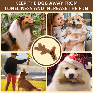 2024 Mới Bán Buôn Bền Nha Khoa Làm Sạch Thực Phẩm Cấp Nylon Con Chó Xương Đồ Chơi Không Phá Hủy Chống-Cắn Con Chó Cắn Đồ Chơi - Product Image 5