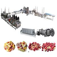 Industriële productielijn voor het maken van gevriesdroogde fruitchips, inclusief fruitwasser, -schiller, -ontpitter, -snijmachine en fruitverwerkingsproductie.