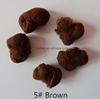 50 pièces ordre d'échantillon cinq couleurs filets à cheveux en Nylon noir marron couleur café Invisible doux lignes élastiques filet à cheveux