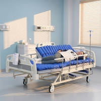 Lit d'hôpital manuel à manivelle, avec plateau réglable en ABS, barrière latérale semi-pliable et roulettes avec frein, pour usage à domicile