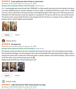 Nouveau produit : Peigne électrique 3-en-1 pour toilettage de chats et <span class=keywords><strong>chiens</strong></span>, rechargeable, en plastique écologique, brosse de nettoyage pour animaux, vaporisateur de vapeur, masseur capillaire - Product Image 6