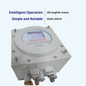Analyseur de point de rosée et de traces d'eau antidéflagrant Runlai E300Ex fiable pour gaz, détecteur personnalisable - Product Image 2