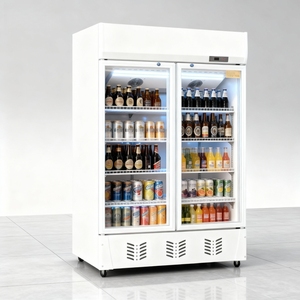 Congélateur vertical de 300 L avec porte vitrée pour boissons, réfrigérateur à bière, vitrine réfrigérée pour boissons pour magasin de proximité - Product Image 6