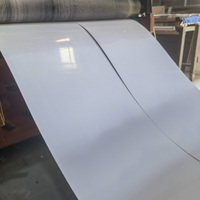 Fabricant chinois, vente en gros de feuilles de PVC rigides, opaques, légères et blanches, résistantes aux UV, avec surface brillante/mate/gaufrée pour le thermoformage.