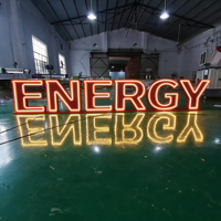 Enseigne néon LED en silicone, économie d'énergie, lumineuse, étanche IP65, alimentation AC/DC, publicité extérieure pour magasin, décoration, texte et logo personnalisés, CE