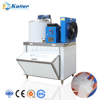 Machine à glace en flocons de petite capacité 500 kg pour usage commercial