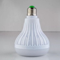 Beliebte Produkte Kabellose RGB Smart Music Bluetooth LED-Glühbirne mit Lautsprecher