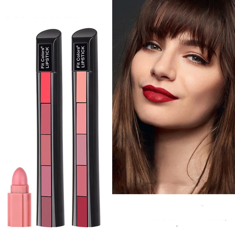 2023 Hot Sale 5 in 1 Matte Lippenstift Samt Wasserdicht Multi Color Mini 5 in 1 Lippenstift Combin aison Tragbarer Stick Reise größe