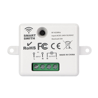 Interruptor Inteligente Compatible con Tuya, Alexa y Google Home, Módulo de Relé de 10A/16A, Interruptor de Pared Inalámbrico Bluetooth, Control Remoto, Aplicación Smart Life