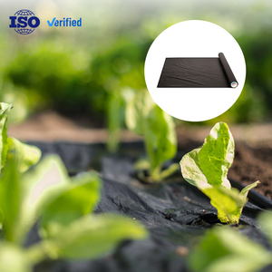 Rollo de película de plástico de mantillo negro de bajo precio con agujeros de perforación Productos de plástico agrícola a la venta para uso en lavandería - Product Image 1