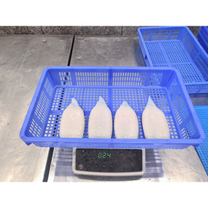 Proveedor de Mariscos de China, Comprador de Calamar Congelado, Tubo de Calamar Congelado U3 U5 U10, Calamar Gigante - Product Image 3