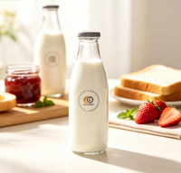 Botol Kaca Saus Tomat Minuman Jus Wadah Minuman Botol dengan Tutup Sekrup