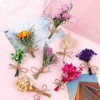 Buket Mini Gypsophila Kustom, Bunga Kering dalam Rangkaian Daisy & Daun Lagurus Kapas untuk Pernikahan Hari Ibu