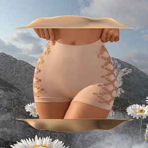 Thoáng khí lưới sexy phong cách thoải mái 3-mảnh của phụ nữ Boxer Briefs không dệt eo Tính năng Lỗ Phụ Nữ <span class=keywords><strong>S</strong></span> <span class=keywords><strong>intimates</strong></span> - Product Image 2