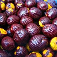 Private Label 100% Pure Buriti Olie Natuurlijke Aguaje Fruit Olie Hydraterende crème voor huid, haar en gezicht