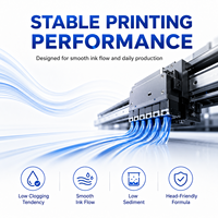Encre éco-solvant 1L CMYK pour Epson I3200 XP600 DX5 DX7 pour impression graphique de sécurité sur vinyle réfléchissant