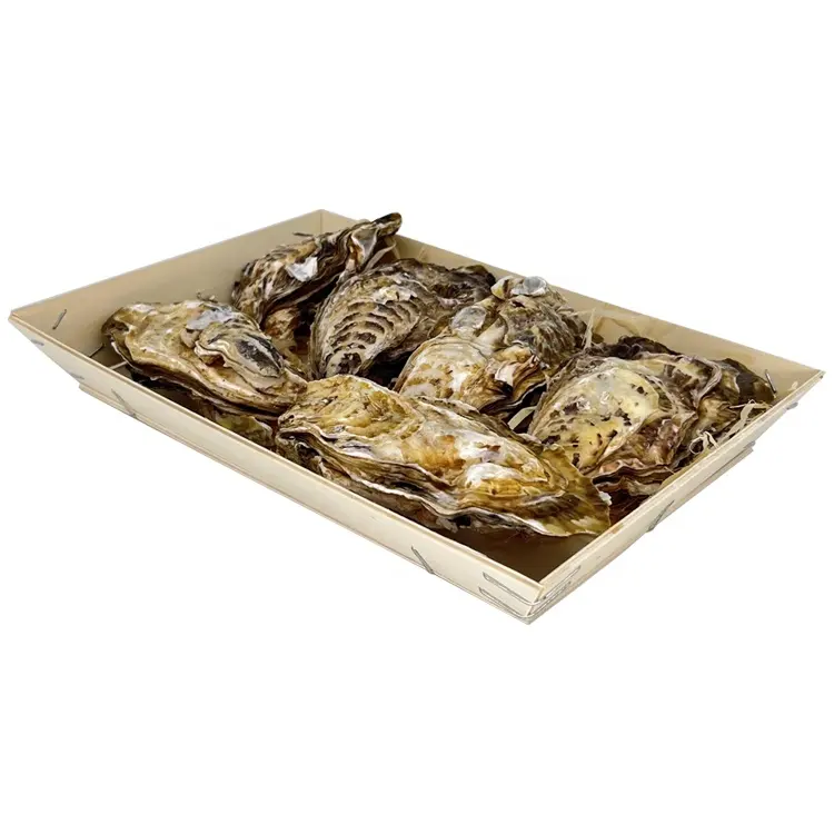 Oester Verpakking Houten Doos Oester Geschenkdoos Zeevruchten Houten Verpakking Geschenkdoos Sashimi Verpakking Verse Oesters