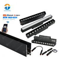 Projecteur sur rail magnétique linéaire réglable 20W 30W 220V 48V, système d'éclairage sur rail noir/blanc encastré
