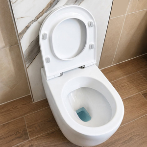 <span class=keywords><strong>WC</strong></span> <span class=keywords><strong>suspendu</strong></span> rétro en céramique vitrifiée avec bidet intégré pour salle de bain - Product Image 5