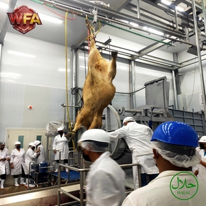 Usine d'abattage complète, équipement d'abattage de bétail, machine d'abattage de vaches, <span class=keywords><strong>boucherie</strong></span> <span class=keywords><strong>halal</strong></span> - Product Image 2