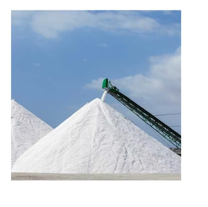 Chlorure de sodium industriel raffiné NaCl de haute pureté pour les usines chimiques de forage pétrolier et la fonte de neige - Product Image 4