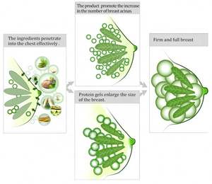 La milee gros seins élargissement fille augmenter lifting raffermissant plénitude extrait de plantes crème pour seins femmes - Product Image 5