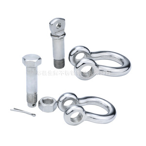Grillete en D de acero inoxidable 316 con pasador de tornillo de cabeza cuadrada, pulido, tamaño métrico, para elevación y conexión de cadenas - Product Image 4