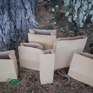 Bolsas de Regalo de Papel con Fondo Cuadrado, Personalizadas con Logotipo, Autoabribles y Profesionales - Product Image 2