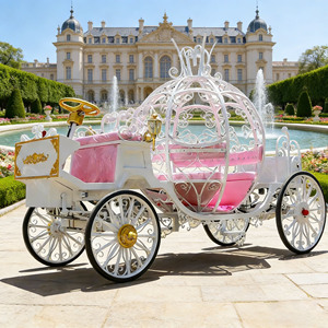 Carruaje Eléctrico Comercial de Lujo Personalizado, Estilo Cenicienta, Color Rosa Calabaza, para Bodas, Transporte Metálico - Product Image 1