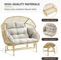 Fauteuil suspendu Danlong moderne et abordable, deux places, en rotin tressé, avec support et coussin, pour adulte, intérieur/extérieur