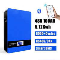 Batterie domestique Power Wall 48V 51.2V 100Ah 5kWh Lifepo4, stockage d'énergie solaire hors réseau/sur réseau, pack de batteries Lifepo4, stock européen