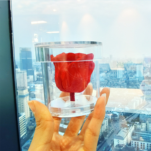 Lỗ duy nhất tùy chỉnh Acrylic Hộp Acrylic đẹp Rose Flower hộp tròn cho bảo quản hoa hồng - Product Image 5