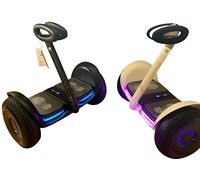 Chariot électrique tout-terrain intelligent Ninebot à prix abordable, véhicule électrique auto-équilibré à deux roues, trottinette de drift
