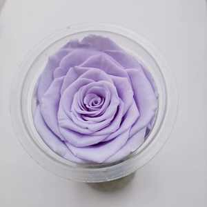 Rosas Eternas 6 Piezas de 5 a 6 cm Grado AA, Rosas Inmortales Naturales Reales, Rosas Preservadas para Ramos de Flores DIY - Product Image 2